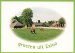 Groeten uit Exloo, Ophalen of Verzenden, 1980 tot heden, Gelopen, Drenthe