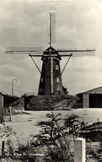Mill, Molen De Korenbloem - B-keus - ongelopen, Verzamelen, Ansichtkaarten | Nederland, Ophalen of Verzenden, Voor 1920, Ongelopen
