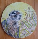 Eekhoorn, Ophalen of Verzenden