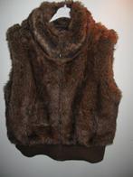 bodywarmer zaatxchi maat m, Ophalen of Verzenden, Zo goed als nieuw, Maat 36 (S)