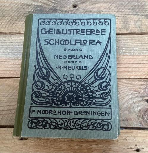 Geïllustreerde Schoolflora 1942, Dik Trom & Piet en Nel, Antiek en Kunst, Antiek | Boeken en Bijbels, Ophalen of Verzenden