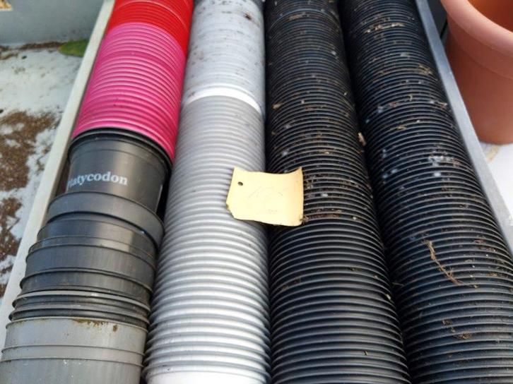 kweekpotten plant container plantenpot potten, Tuin en Terras, Bloempotten, Gebruikt, Kunststof, Minder dan 40 cm, Minder dan 25 cm