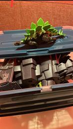 Playmobil dino rise, Kinderen en Baby's, Speelgoed | Playmobil, Ophalen of Verzenden, Gebruikt, Los playmobil