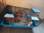 Chinese dwerghamster man met kooi en reisbox, Dieren en Toebehoren, Kooi, Gebruikt, Minder dan 75 cm, Hamster