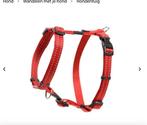 Tuigje en riem hond rood Rogz maat s, Dieren en Toebehoren, Ophalen of Verzenden