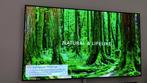 LG oled tv 65B7V-Z, 100 cm of meer, LG, Smart TV, Zo goed als nieuw