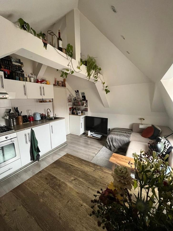 Tijdelijke huurwoning – Leidsebuurt Haarlem (40 m²), Huizen en Kamers, Huizen te huur, Noord-Holland, Appartement, Direct bij eigenaar
