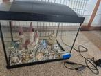 Aquarium superfish met verlichting, Ophalen of Verzenden, Gebruikt, Leeg aquarium