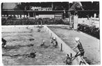 Scheemda, Zwembad "De Ringberg", Verzamelen, Ansichtkaarten | Nederland, Verzenden, 1960 tot 1980, Ongelopen, Groningen