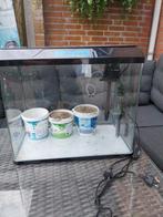 Aquarium met alles er aan, Dieren en Toebehoren, Vissen | Aquaria en Toebehoren, Ophalen, Zo goed als nieuw, Gevuld zoetwateraquarium