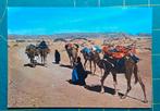 Marokko - Vrouwen met bepakte kamelen onderweg, Verzamelen, Ansichtkaarten | Buitenland, Ophalen of Verzenden, 1960 tot 1980, Ongelopen