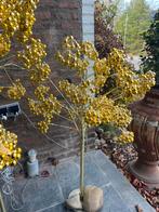 Gouden Boom met Lichtjes - Sfeervolle Decoratie, Huis en Inrichting, Ophalen of Verzenden, Zo goed als nieuw, Glas, 100 tot 150 cm