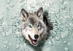 3D fotobehang Wolf door muur, wolvenbehang, Muurdeco4kids, Huis en Inrichting, Stoffering | Behang, Verzenden, Wolven behang, wolf,