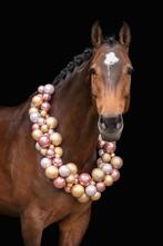 Aansprekend kwpn dressuurpaard, Dieren en Toebehoren, Paarden, Z, Dressuurpaard, 11 jaar of ouder, 165 tot 170 cm