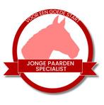 Privé stal Mijdrecht- waar paarden écht paard mogen zijn!, Weidegang, 2 of 3 paarden of pony's