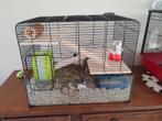 Hamsterkooi 2 maanden oud, Minder dan 60 cm, Kooi, Minder dan 75 cm, Ophalen of Verzenden