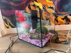 SuperFish QubiQ 30 vissenkom aquarium, Dieren en Toebehoren, Vissen | Aquaria en Toebehoren, Ophalen, Zo goed als nieuw, Leeg aquarium