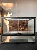 Terrarium, Dieren en Toebehoren, Ophalen, Zo goed als nieuw, Terrarium of Paludarium