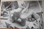 Henry Moore From the Inside Out, Boeken, Gelezen, Beeldhouwkunst, Diverse auteurs, Ophalen of Verzenden