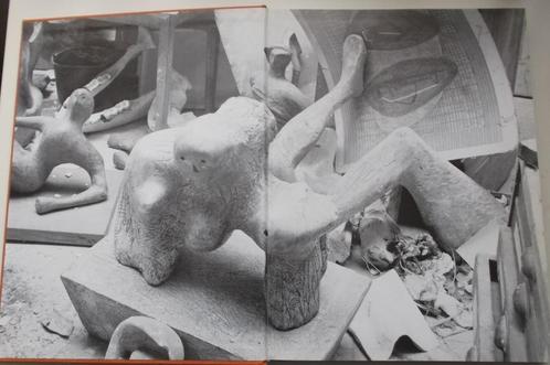 Henry Moore From the Inside Out, Boeken, Kunst en Cultuur | Beeldend, Gelezen, Beeldhouwkunst, Ophalen of Verzenden