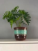 Mooie Aardewerk Bloempot met Groene Accent, Ophalen, Rond, Binnen, Zo goed als nieuw