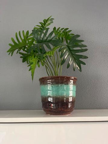 Mooie Aardewerk Bloempot met Groene Accent beschikbaar voor biedingen