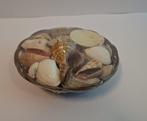 schelpen, Ophalen of Verzenden, Nieuw, Materiaal