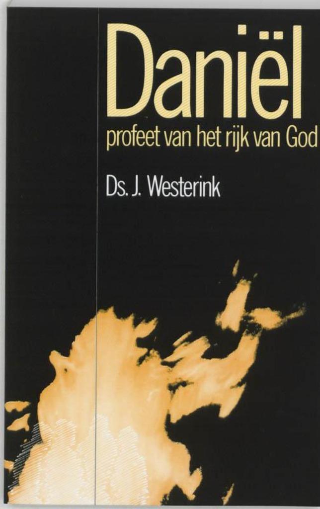 Twee boeken van Ds. J Westerink, Boeken, Godsdienst en Theologie, Gelezen, Christendom | Protestants, Ophalen of Verzenden