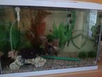 aqarum vissen + vele extra's + filter + luchtpomp, Dieren en Toebehoren, Vissen | Aquaria en Toebehoren, Ophalen, Gebruikt, Gevuld zoetwateraquarium