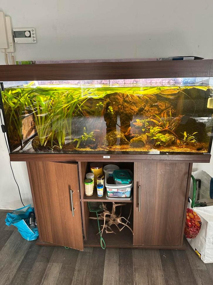 Juwel 240 aquarium, Dieren en Toebehoren, Vissen | Aquaria en Toebehoren, Zo goed als nieuw, Gevuld zoetwateraquarium, Ophalen of Verzenden