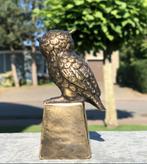 Het Bronzen Beeldje uil op sokkel BronzenBeelden-Winkel.., Antiek en Kunst, Kunst | Beelden en Houtsnijwerken, Ophalen of Verzenden