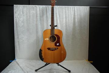 Washburn Harvest akoestische gitaar D-42SW, Korea <25251832> beschikbaar voor biedingen