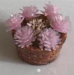 Poppenhuis of barbie plantenbak tuinplanten 2cm nog 2, Verzamelen, Ophalen, Zo goed als nieuw, Poppenhuis