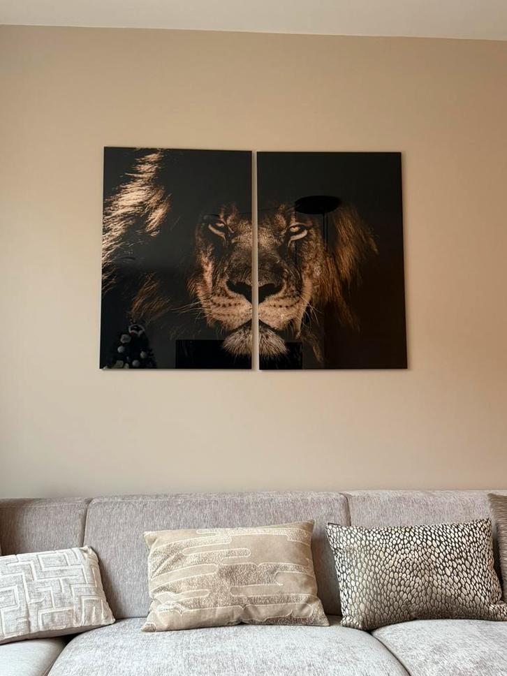 Schilderij plexi gehard glas 2 x 60 x 90 cm, Huis en Inrichting, Woonaccessoires | Schilderijen, Tekeningen en Foto's, Zo goed als nieuw