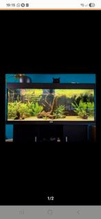 Juwel compleet aquarium 100x40x40, Dieren en Toebehoren, Vissen | Aquaria en Toebehoren, Ophalen, Zo goed als nieuw, Gevuld zoetwateraquarium