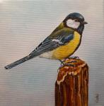 schilderij koolmees 287 - origineel cadeau - olieverf vogel, Ophalen of Verzenden