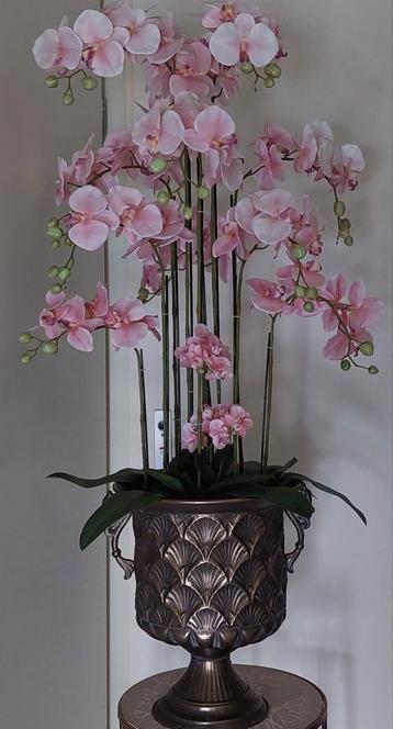 NIEUW Prachtige orchideeën rose met Prachtige pot nog 2 st. beschikbaar voor biedingen