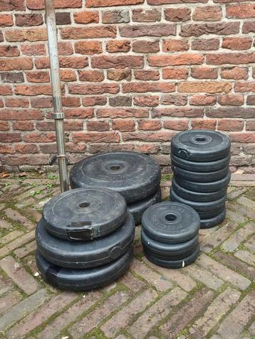 Halter schijven gewichten stang 10kg 5kg 2,5kg 1,25kg 1kg beschikbaar voor biedingen