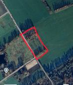 Te huur weiland, Dieren en Toebehoren, Stalling en Weidegang, Weidegang