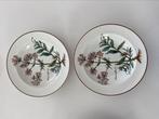 Villeroy & Boch Botanica diepe borden, Ophalen of Verzenden