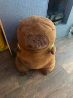 Grote Capibara Knuffel, Kinderen en Baby's, Speelgoed | Knuffels en Pluche, Ophalen of Verzenden, Zo goed als nieuw, Overige typen