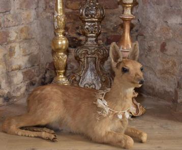 Bambi ,Kalfje. "Uit Aletta's Tijd" beschikbaar voor biedingen