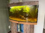 Juwel vision 180l compleet aquarium, Dieren en Toebehoren, Vissen | Aquaria en Toebehoren, Ophalen, Gebruikt, Leeg aquarium