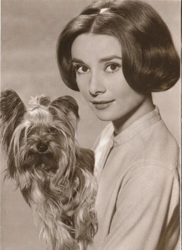 Kaart Audrey Hepburn beschikbaar voor biedingen