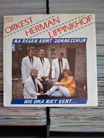 Orkest Herman Lippinkhof - Na regen komt zonneschijn PIRAAT, Cd's en Dvd's, Ophalen of Verzenden, Gebruikt, Nederlandstalig