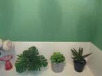 Drie kleine kunstplanten, Ophalen of Verzenden