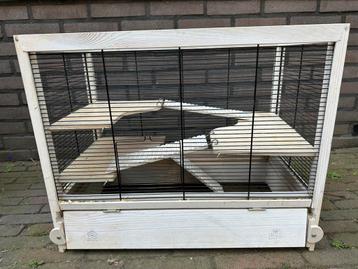 Hamsterhok met toebehoren beschikbaar voor biedingen