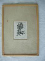 Ets van Wim Bos 52/200, Verzenden