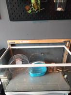 Hamster kooi met toebehoren en diverse soorten voer., Gebruikt, Minder dan 75 cm, Ophalen, Minder dan 60 cm