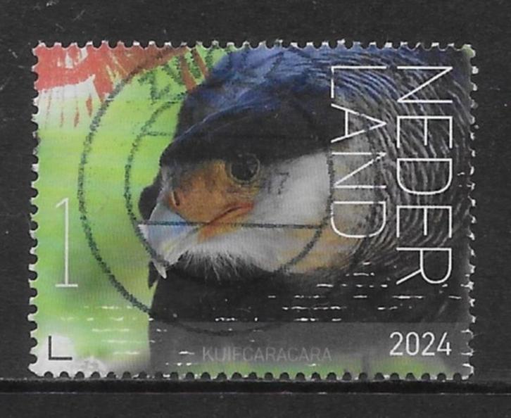 2024, Vogels Bonaire, Kuifcaracara [4163] (K0806), Postzegels en Munten, Postzegels | Nederland, Ophalen of Verzenden